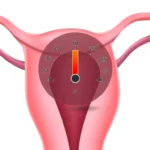 What Is a Good AMH Level to Get Pregnant