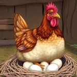 What Is a Broody Chicken