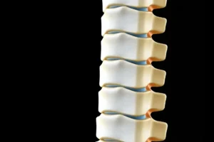 What Is a Facet Joint