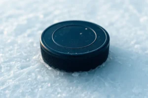 What Is a Hockey Puck Made Of