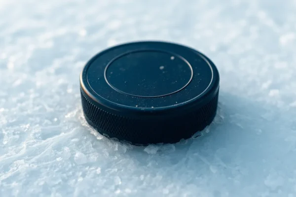 What Is a Hockey Puck Made Of