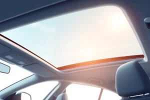 What Is a Moon Roof